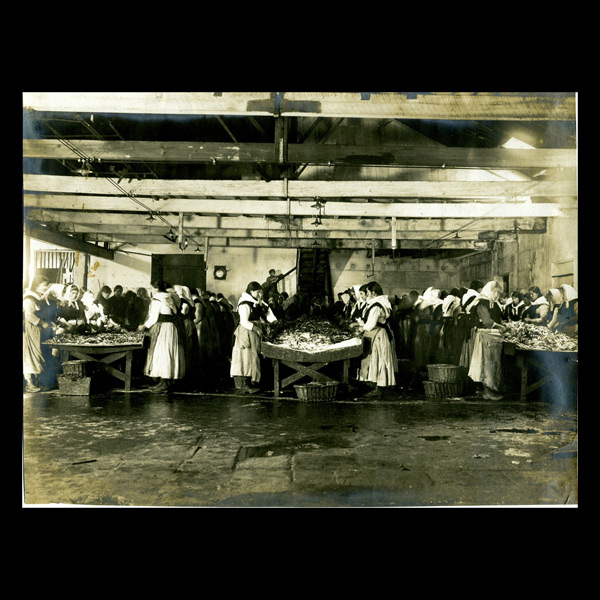 Women workers at the old Massó Hermanos canning factory working at the sardine cleaning table