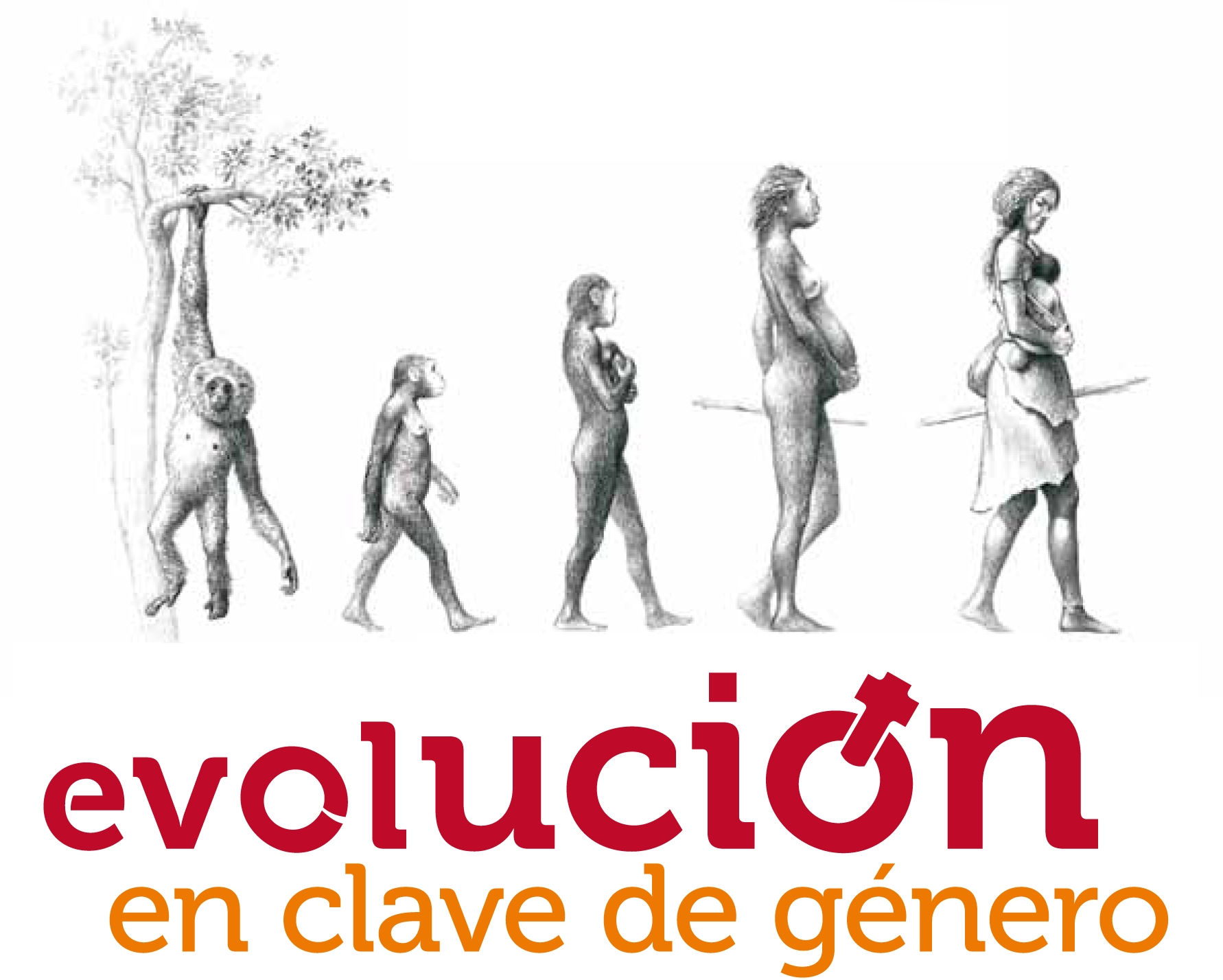Evolución en clave de género | Museos de Galicia