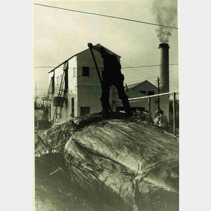 Imagen de la exposición