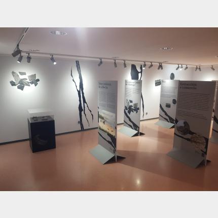 O acibeche no mundo antigo. Unha aproximación dende o Castro de Viladonga