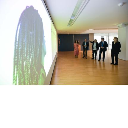 Inauguración da mostra sobre a obra de Manuel Vilariño